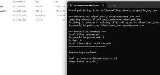 inZOI Patching v1.0