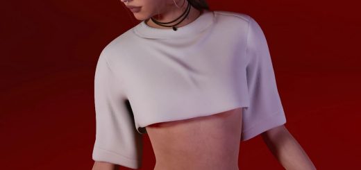 Simple Crop Top. v1